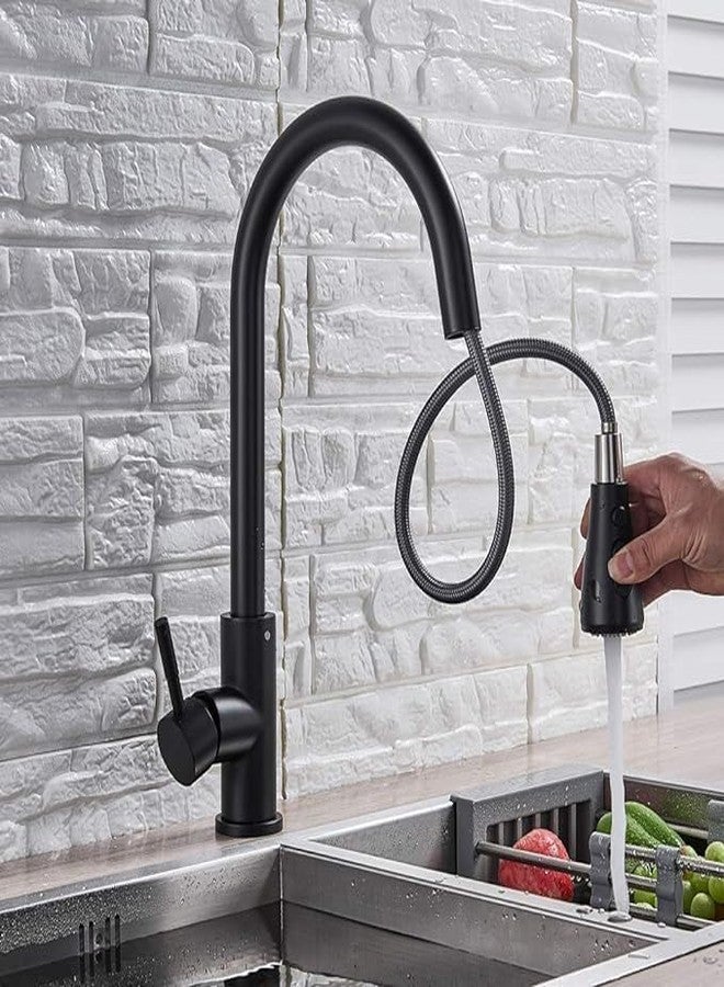 SBD Table Mounted Kitchen Double Sink Pull-Out Faucet with Double Flow Single Lever Sink Mixer, Chrome Finished, Stainless Steel (Black) - Image 2