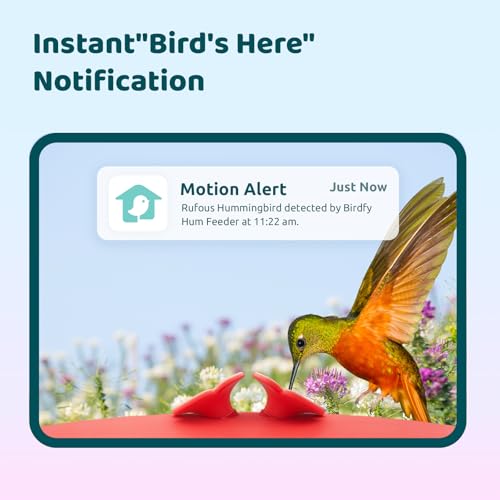 Birdfy Smart Hummingbird Feeder with Camera Auto Detect Record Bird Video Instant Notification Live View Solar Powered Hummingbird Feeders for Outdoors Ant Bee Proof 14oz Gift for Bird Lovers - Image 3