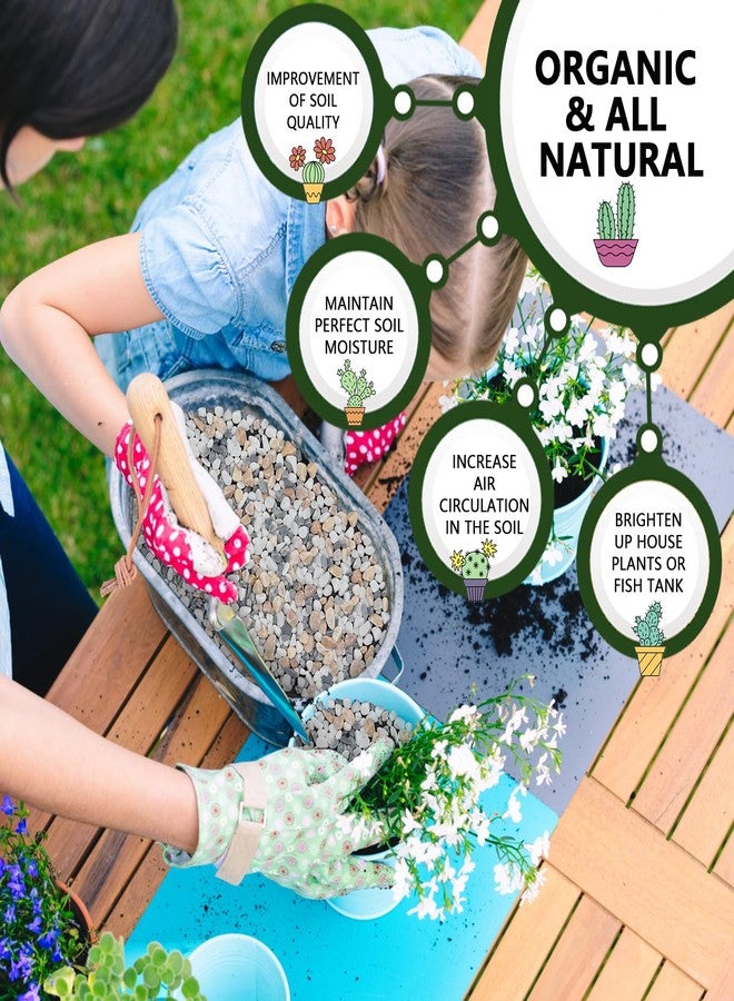 Gerta 10 LBS GreyMixed Pea Gravel, Natural Succulent and Cactus Gravel Pebbles, Pebbles for Indoor Plants, Natural Gardens Mulching, for Houseplants, for Aquarium Gravel, to Maintain Soil Aeration(4-6mm) - Image 2