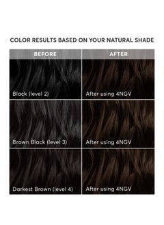 Madison Reed Madison Reed Radiant Hair Color Kit, Darkest Golden Brown for 100% Gray Coverage, Ammonia-Free, 4NGV Venezia Brown, Permanent Hair Dye, Pack of 1  - Image 3