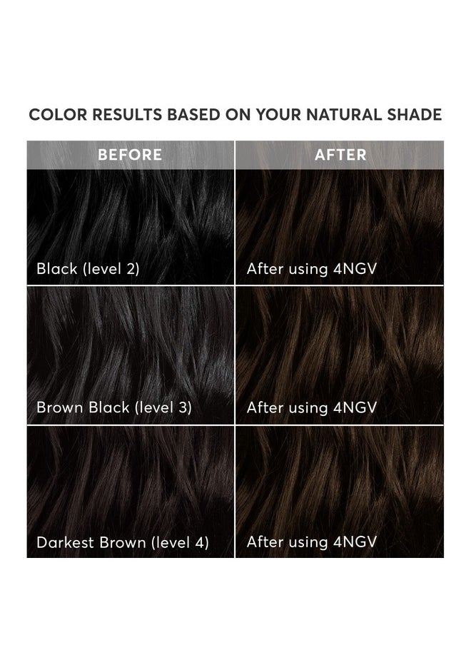 Madison Reed - Madison Reed Radiant Hair Color Kit, Darkest Golden Brown for 100% Gray Coverage, Ammonia-Free, 4NGV Venezia Brown, Permanent Hair Dye, Pack of 1 - Image 1