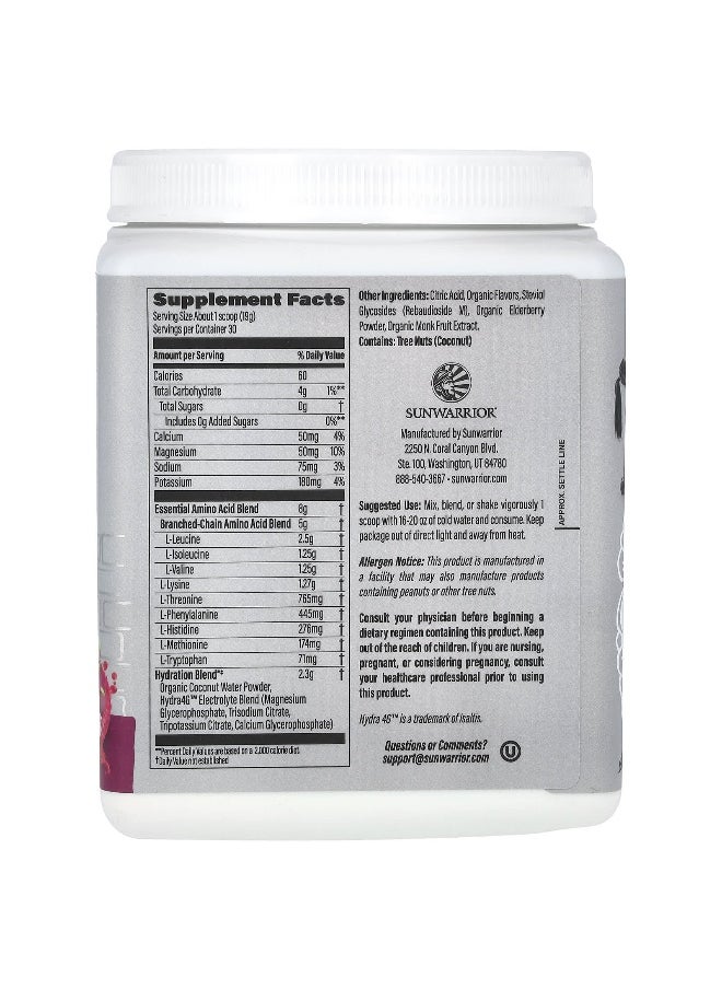 Sunwarrior - Sunwarrior, Sport, Active Aminos, Dragon Fruit, 1.25 lbs (570 g) - Image 1