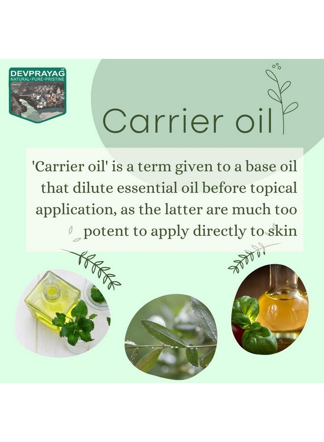 ديفا كونسبيتس زيت باباسو النقي (أتاليا سبيسيوزا) طبيعي بدرجة علاجية ومعصور على البارد 10 مل - Image 2