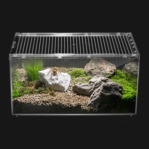 Clioran Reptile PC TerrariumTarantula EnclosureSpider Tank Starter KitLeopard Gecko ContainerHermit Crab HabitatLizard EnclosureInsect HousingJumping Spider CageSmall Bearded Dragon Vivarium S - Image 1