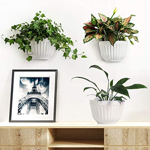 ORIMERC 4 Pack White Wall Planter Pots Vertical Living Wall Hanging Planters Wall Mounted Planter Holder with Drainage Hole for Indoor Outdoor Plants Wall Decor with Hooks/Screws - Image 5