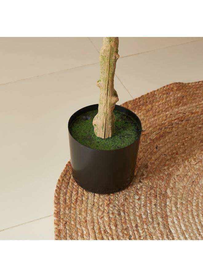 ثيودور شجرة الأونسيديوم الصناعية 180 سم - Image 4