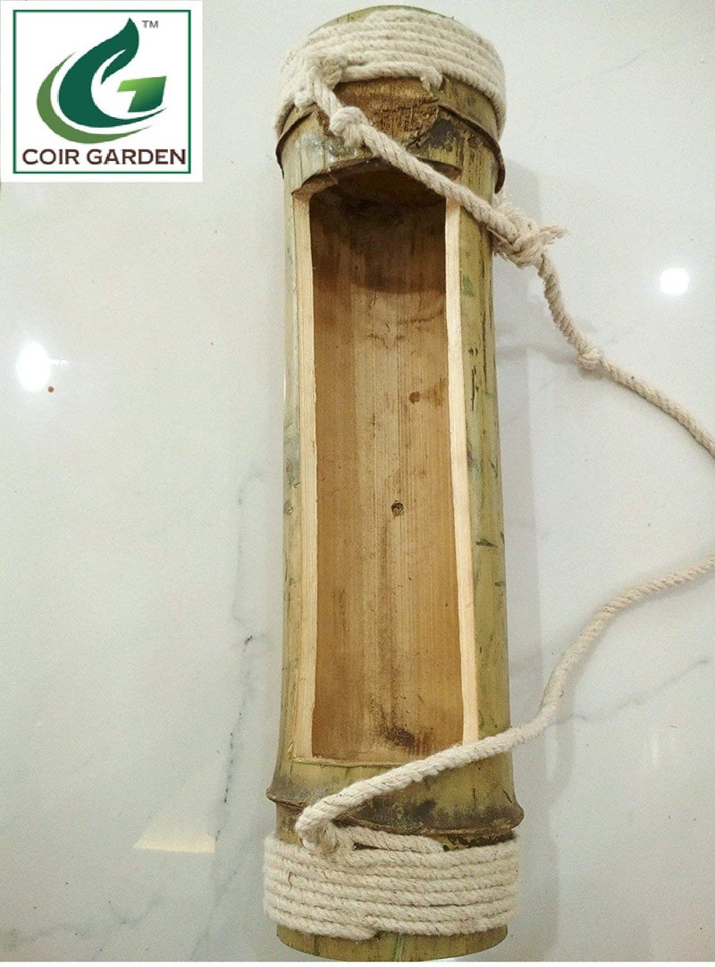 COIR GARDEN Hanging Planter, 2 Pieces - Image 2