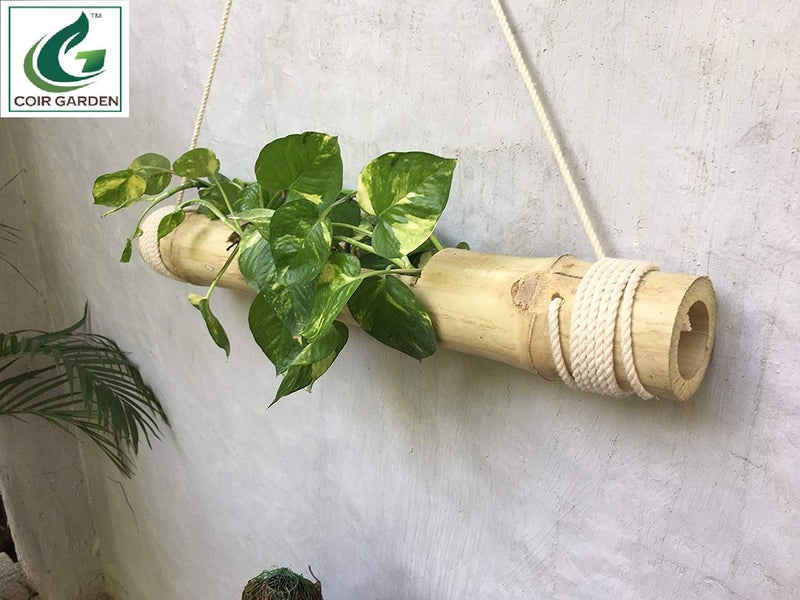 COIR GARDEN Hanging Planter, 2 Pieces - Image 5