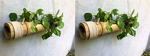 COIR GARDEN Hanging Planter, 2 Pieces - Image 1