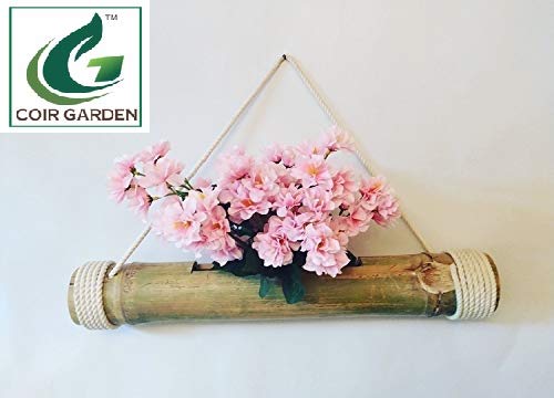COIR GARDEN Hanging Planter, 2 Pieces - Image 3