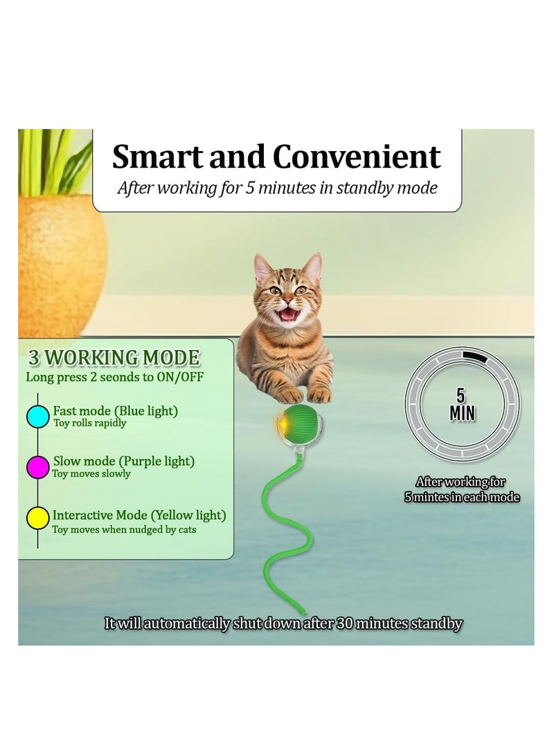 NNC PETS Cat toy with USB rechargeable, Durable Plastic, Long tail, & 3 modes, 37cm Interactive toy ball with LED light, Indoor cat entertainment, Safe cat material with Scratch & Fall resistant, (Green) - Image 5