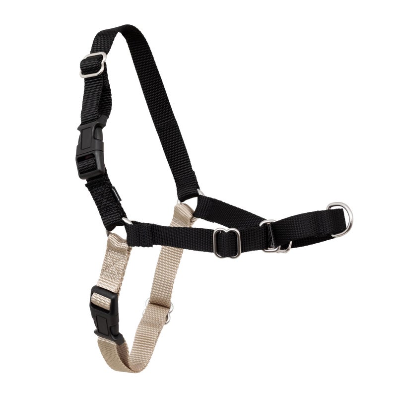 PetSafe Easy Walk Harness for Dogs - Pull-Free Walks - Patented Martingale Loop Design - Front Chest Leash Attachment - Comfort Straps - Breathable Harness Design - Small, Black/Silver - Image 1