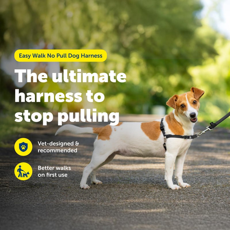 PetSafe Easy Walk Harness for Dogs - Pull-Free Walks - Patented Martingale Loop Design - Front Chest Leash Attachment - Comfort Straps - Breathable Harness Design - Small, Black/Silver - Image 3