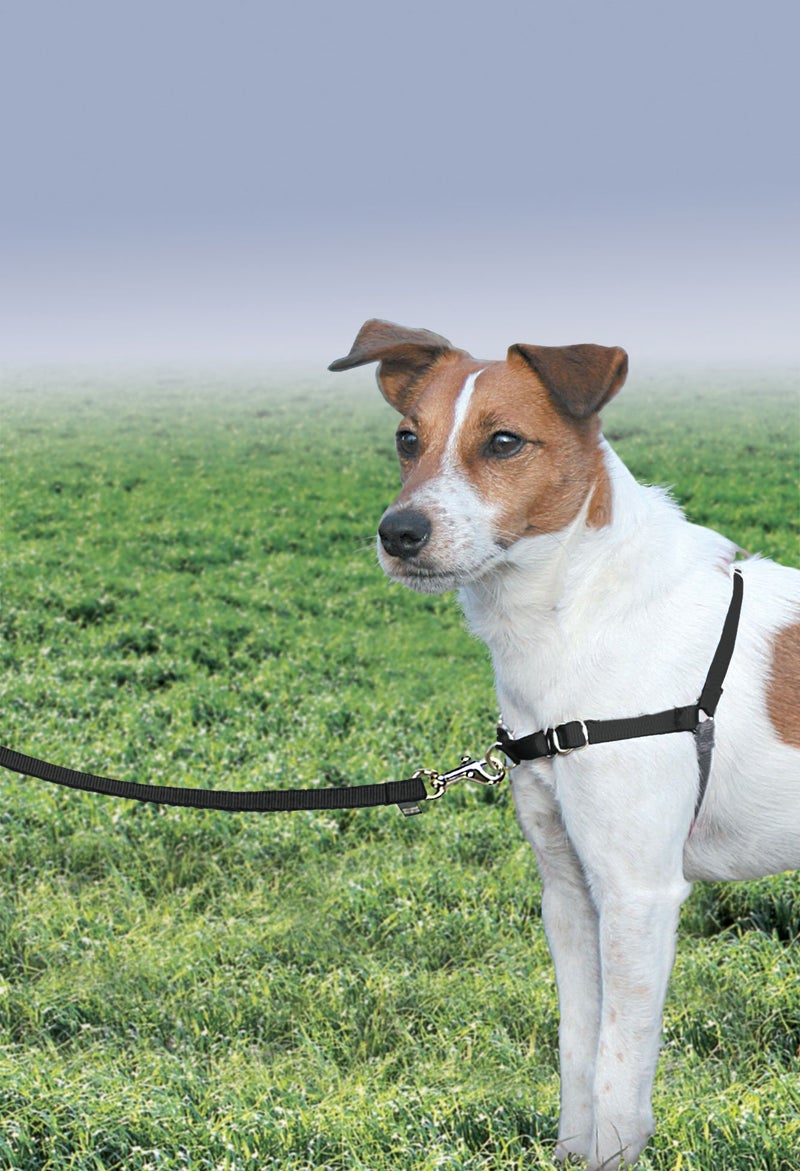 PetSafe Easy Walk Harness for Dogs - Pull-Free Walks - Patented Martingale Loop Design - Front Chest Leash Attachment - Comfort Straps - Breathable Harness Design - Small, Black/Silver - Image 2