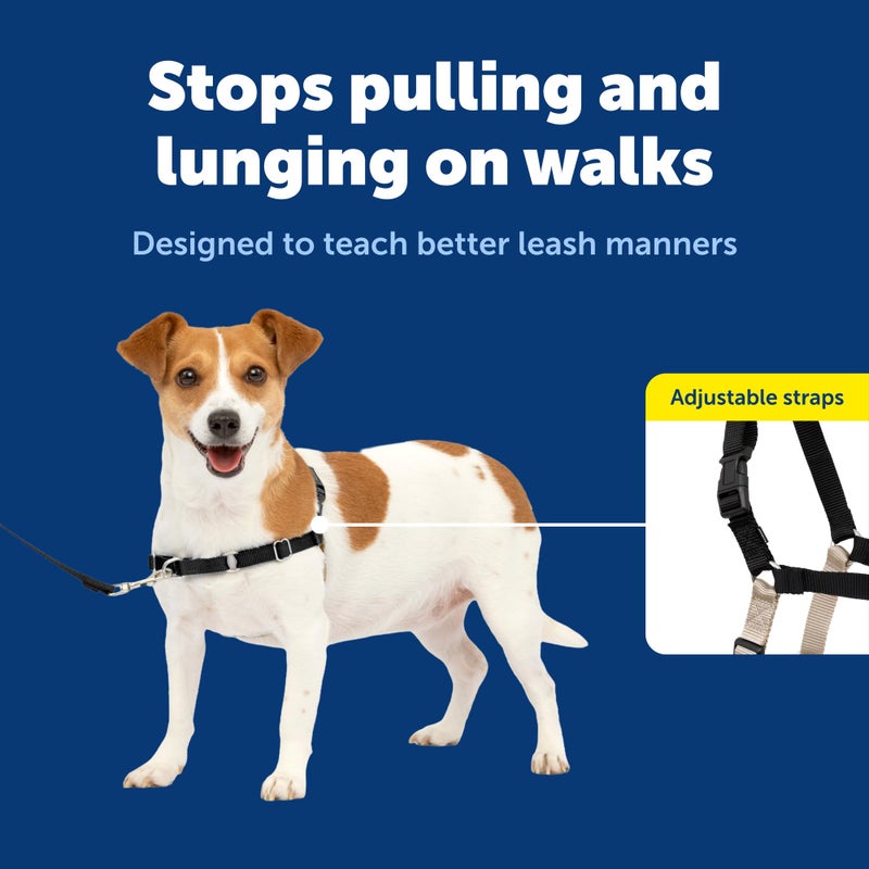 PetSafe Easy Walk Harness for Dogs - Pull-Free Walks - Patented Martingale Loop Design - Front Chest Leash Attachment - Comfort Straps - Breathable Harness Design - Small, Black/Silver - Image 4