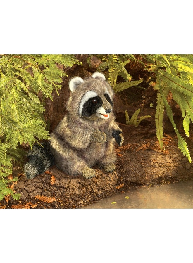 Folkmanis Raccoon Hand Puppet Plush - Image 2