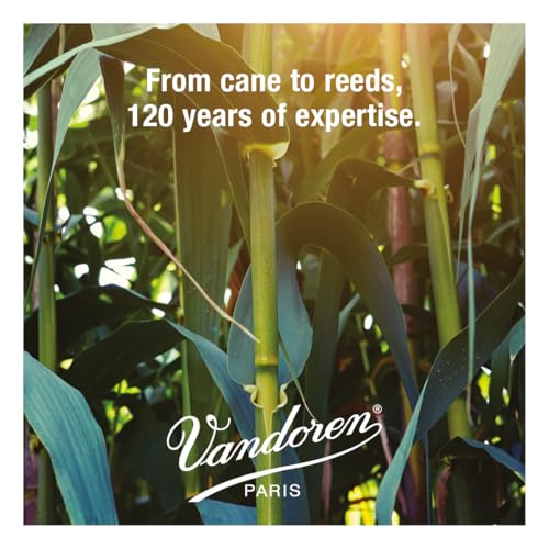 Vandoren SR262R Alto Sax JAVA Red Reeds Strength 2; Box of 10 - Image 5