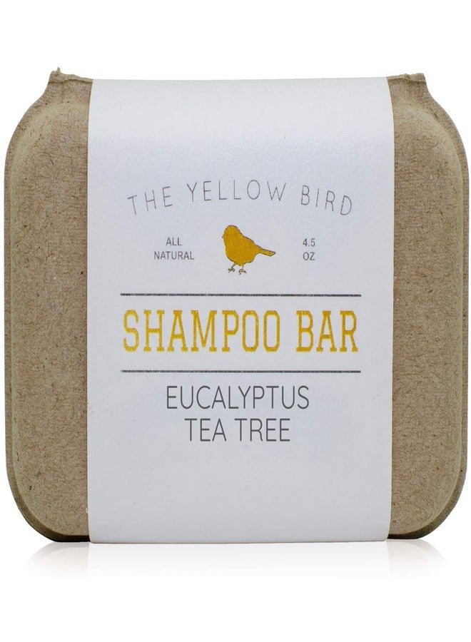 The Yellow Bird Eucalyptus Tea Tree Shampoo Bar. All Natural & Organic Ingredients. Sulfate Free, Detergent Free, Color Safe, and Silicone Free. Vegan, Plastic Free, Zero Waste Shampoo Soap - Image 1