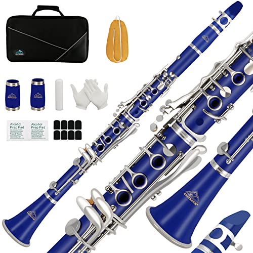 EASTROCK Bb Clarinet 17Nickel Keys ABS Material Wide Range of Tones Particularly Beginner & Students-friendly with Using Tools and Two Replaceable Barrels - Image 1