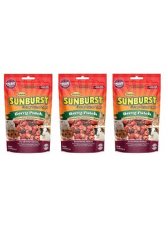 HigginS Higgins Sunburst Berry Patch, 0.52 Ounces, Freeze-Dried Fruit for All Small Animals (3 Pack - 0.52 Ounces)  - Image 1