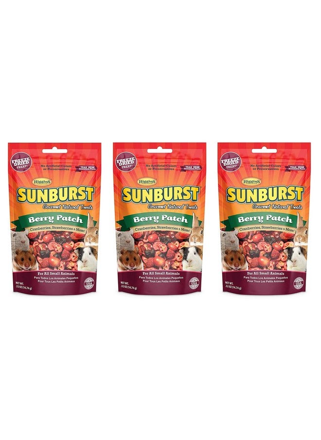 HigginS Higgins Sunburst Berry Patch, 0.52 Ounces, Freeze-Dried Fruit for All Small Animals (3 Pack - 0.52 Ounces)  - Image 1