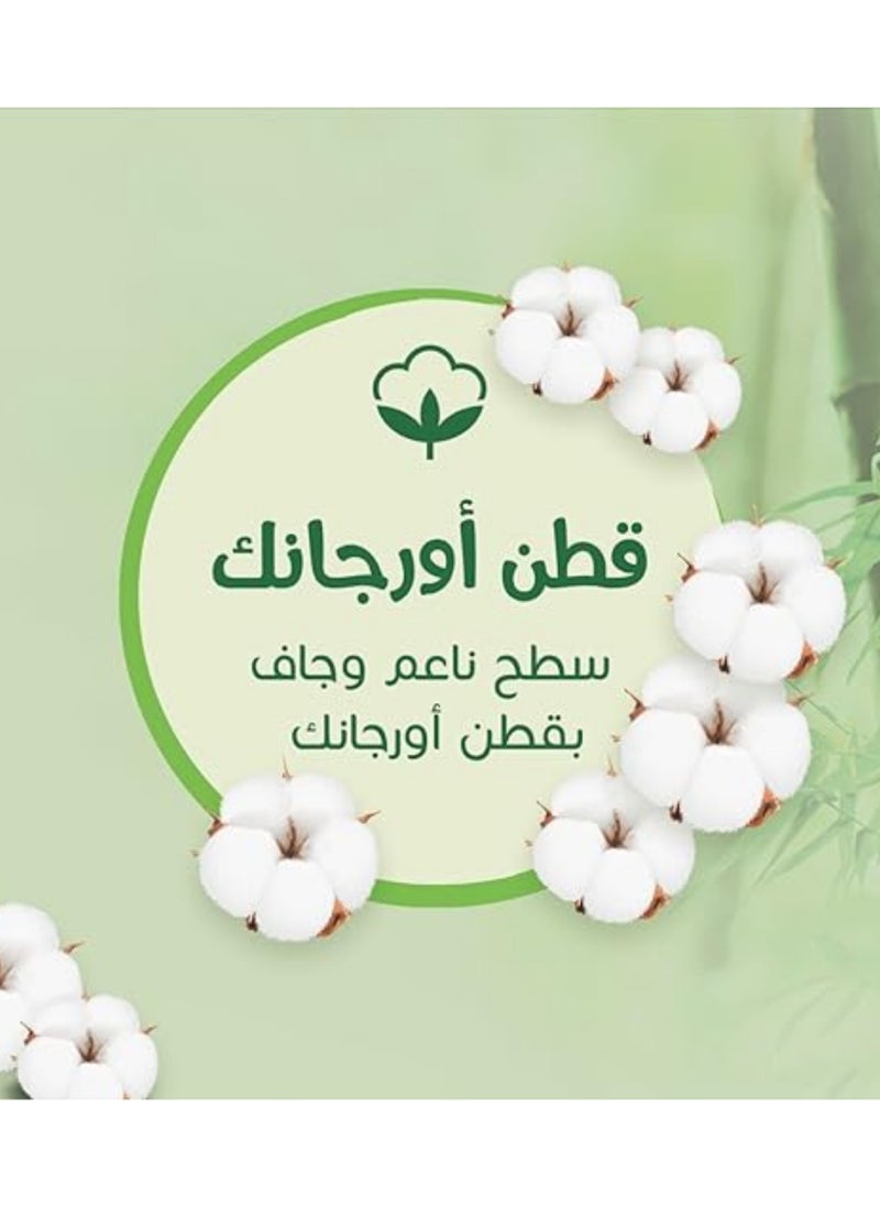 بيبيم - حفاضات بيبي بي بي - مقاس 4 ماكسي - 32 قطعة - فائقة الامتصاص، ناعمة ومريحة لجفاف طوال اليوم - Image 1