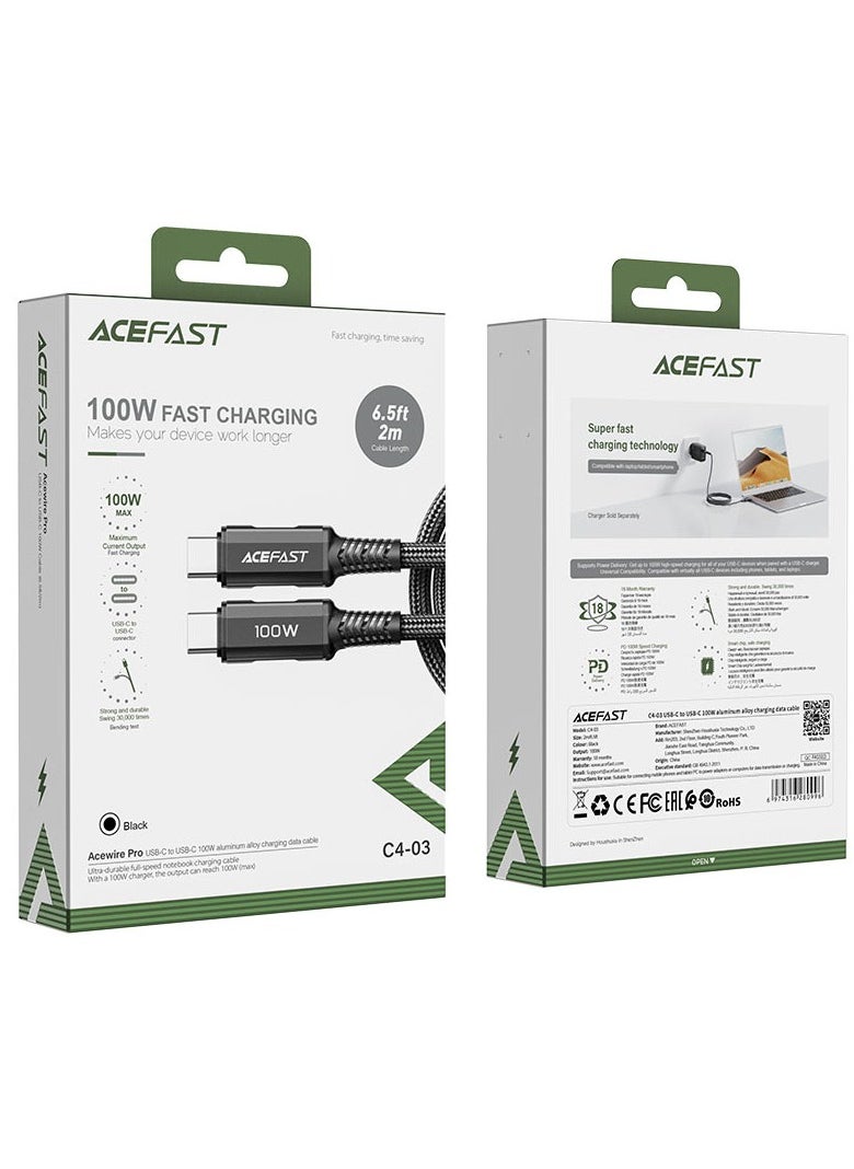 ACEFAST - Charging Data Cable C4-03 USB-C to USB-C 100W - Image 1