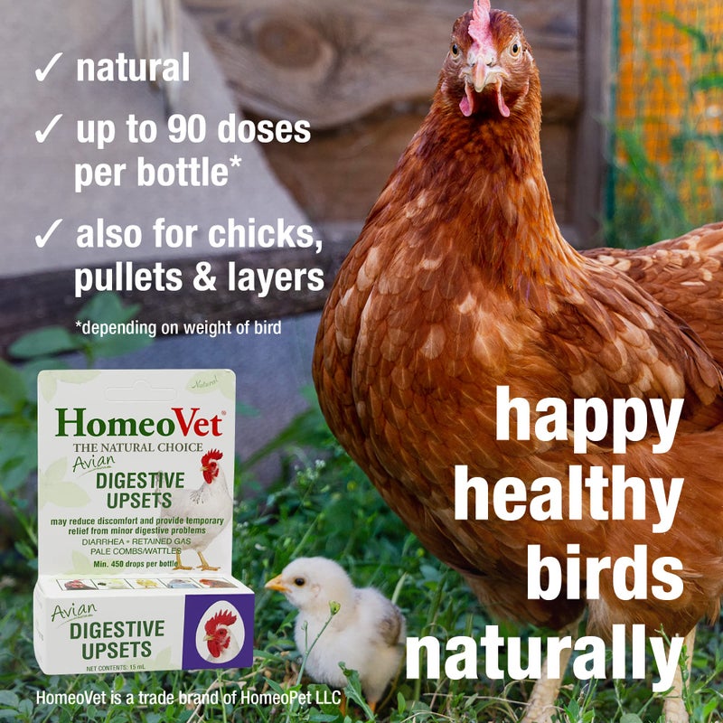 HomeoPet Avian Digestive Upsets, Safe and Natural Digestive Support Supplement for Poultry and Pet Birds, 15 Milliliters - Image 4