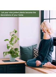 SYOSI Plant Trellis for Climbing Plants Indoor Pot, 16inch Small Wooden Trellis for Potted Plants with Moisture-Proof Layer for Vines Ivy Houseplants, Moon and Geometric Shape Design  - Image 4