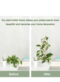 SYOSI Plant Trellis for Climbing Plants Indoor Pot, 16inch Small Wooden Trellis for Potted Plants with Moisture-Proof Layer for Vines Ivy Houseplants, Moon and Geometric Shape Design  - Image 3