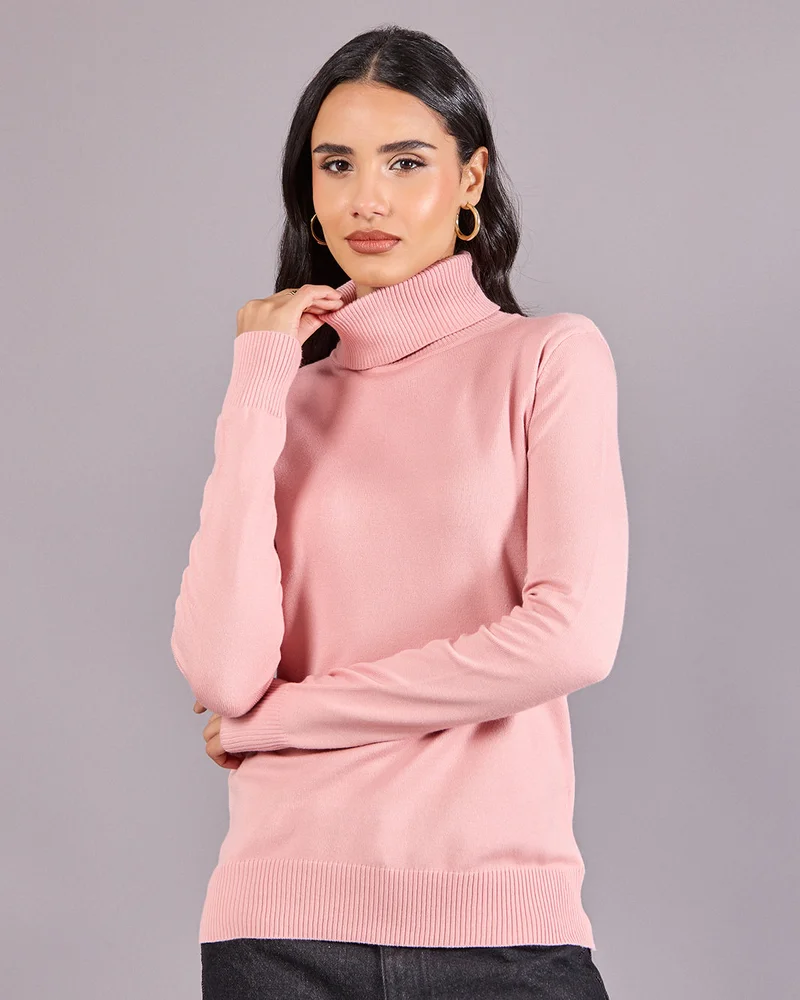 Redtag Women Pink Plain Pullover