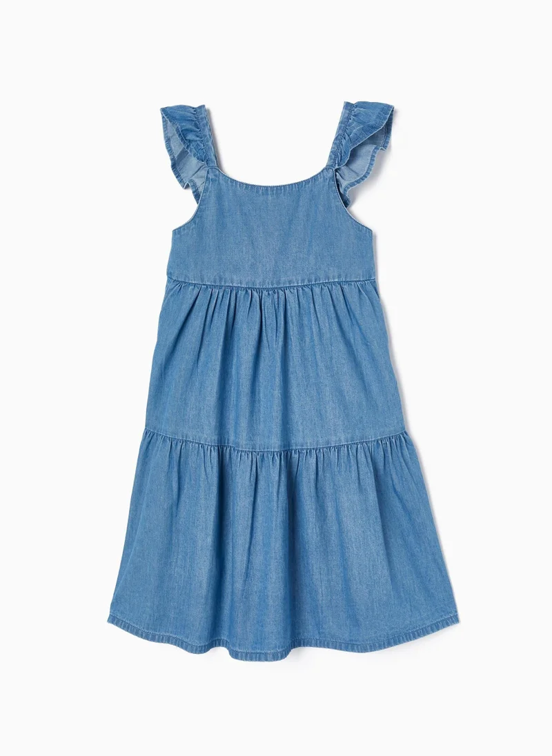 Zippy Denim Dress for Girls