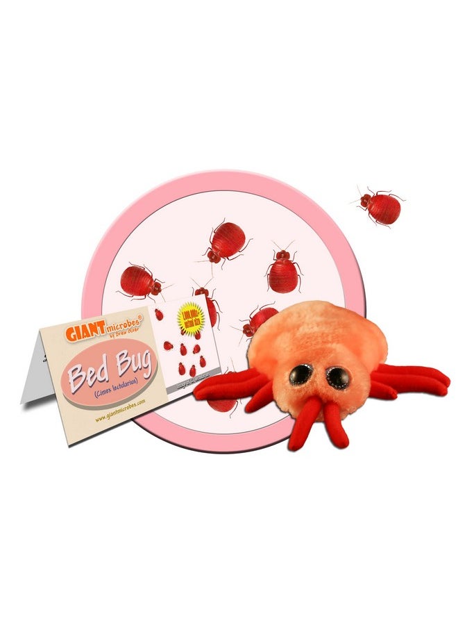 Giant Microbes Giantmicrobes Bed Bug Plush Learn About This Common Crawler With This Cuddly Plush Unique Gift For Friends Family Educators Students Exterminators Insect Fans And Travelers  - Image 1