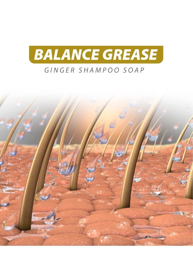 Ginger Hair Regrowth Shampoo Bar, 2 Pcs Natural Ginger Shampoo Bar, Anti Dandruff, Hair Loss Treatment, Promotes Hair Growth for All Hair Types - Image 4