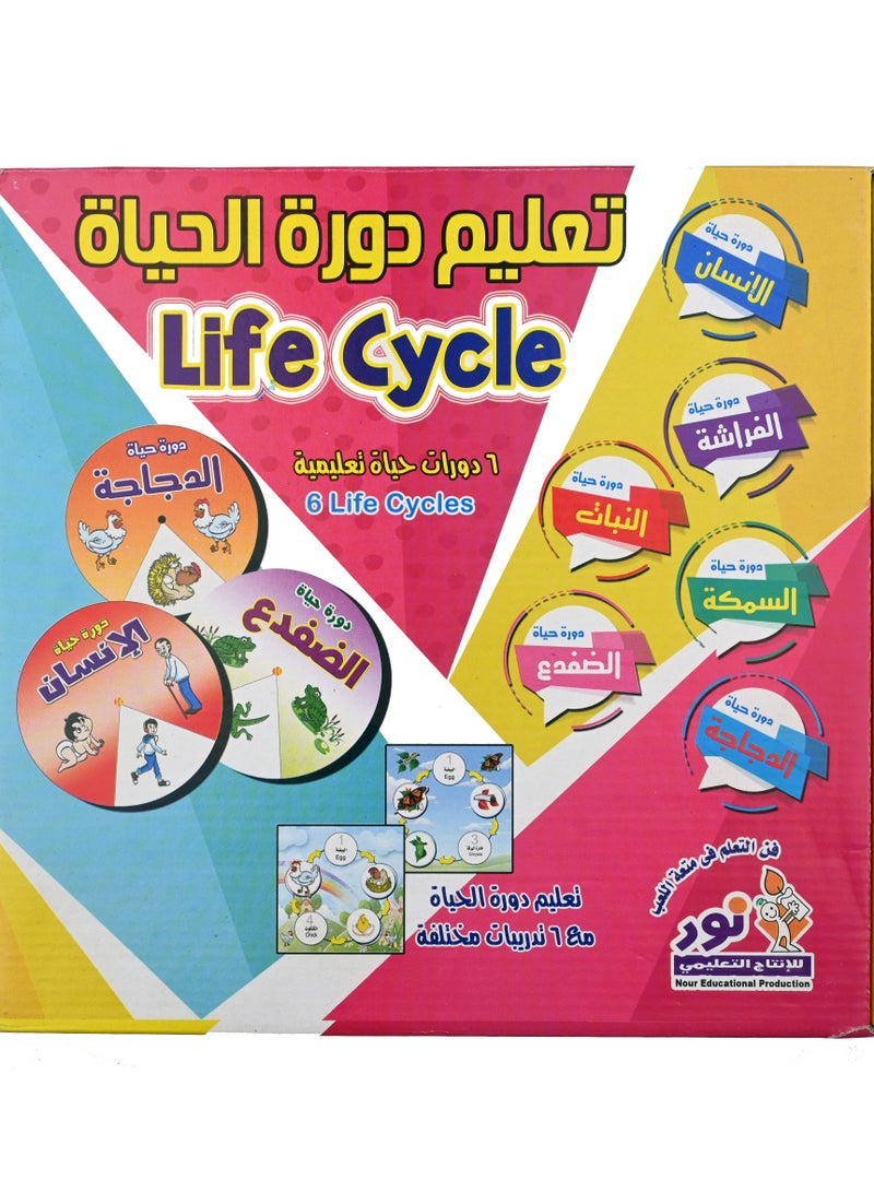Nour Learn The Life Cycle - Image 1