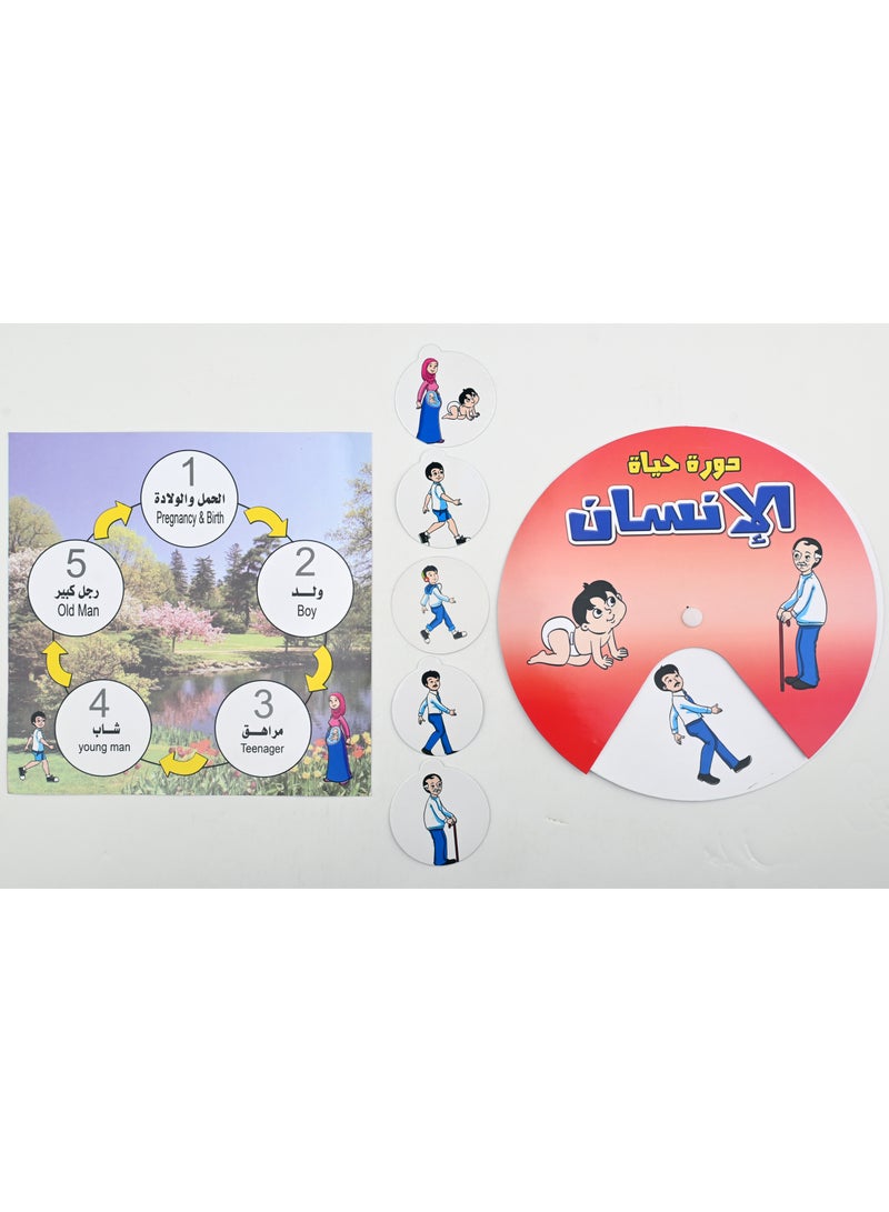 Nour Learn The Life Cycle - Image 4