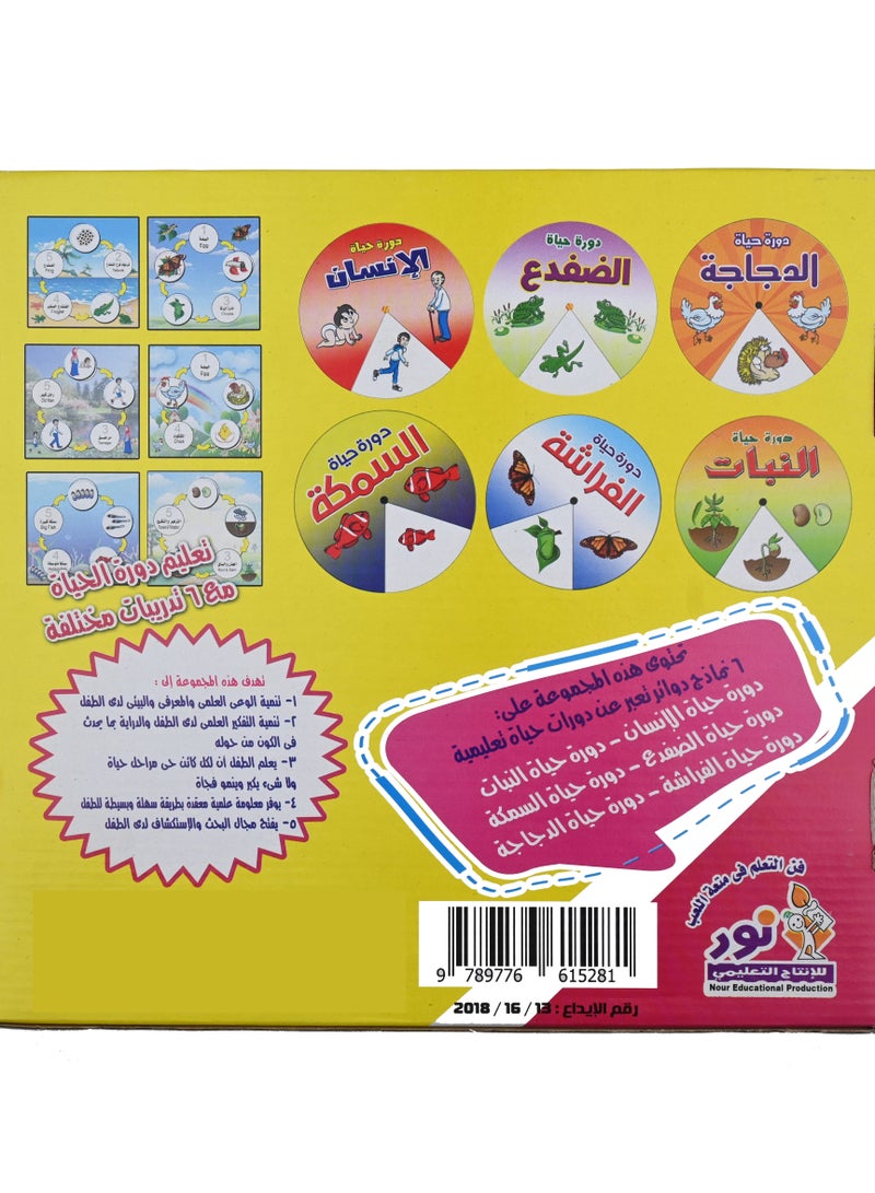 Nour Learn The Life Cycle - Image 5