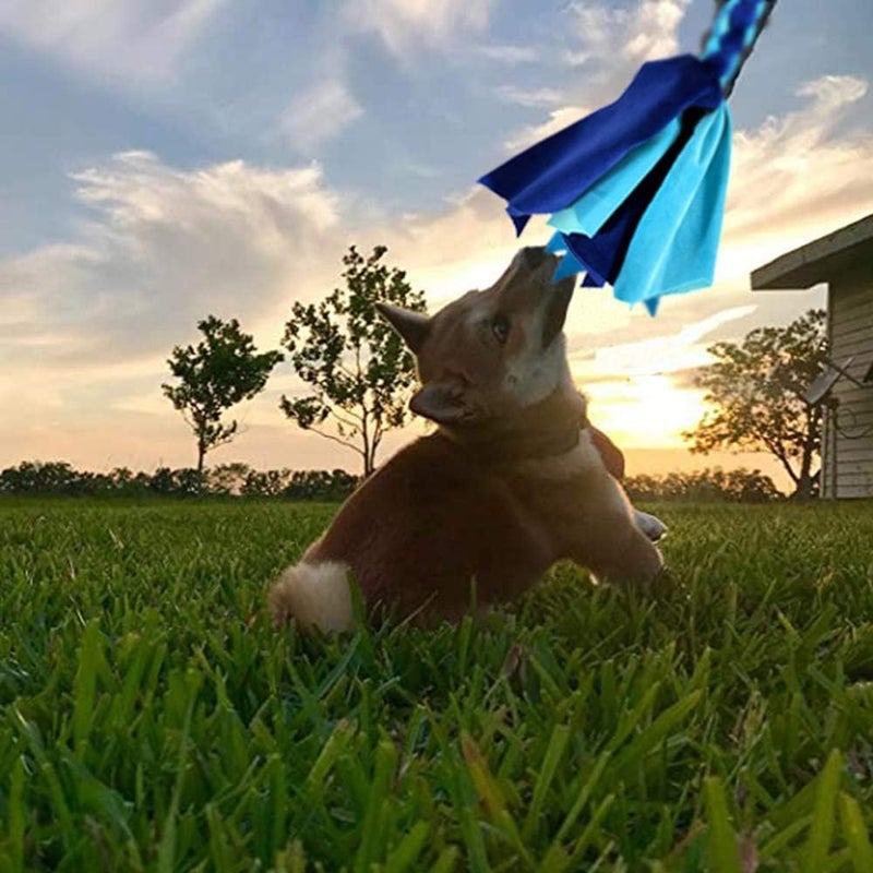 ألعاب الكلاب التفاعلية - عمود اللعب القابل للتمديد مع لعبتي شد من الفرو لجذب الكلاب لتسلية الكلاب في الهواء الطلق والتدريب والتمرين، أزرق جديد - Image 5