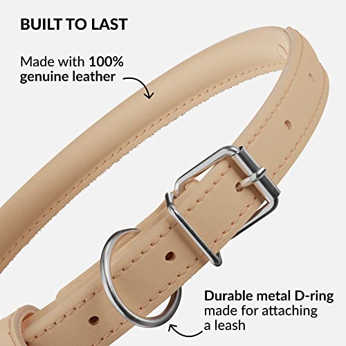 CollarDirect Rolled Leather Dog Collar, Soft Padded Round Puppy Collar, Handmade Genuine Leather Collar Dog Small Large Cat Collars 13 Colors (18-22 Inch, Beige Smooth) - Image 3