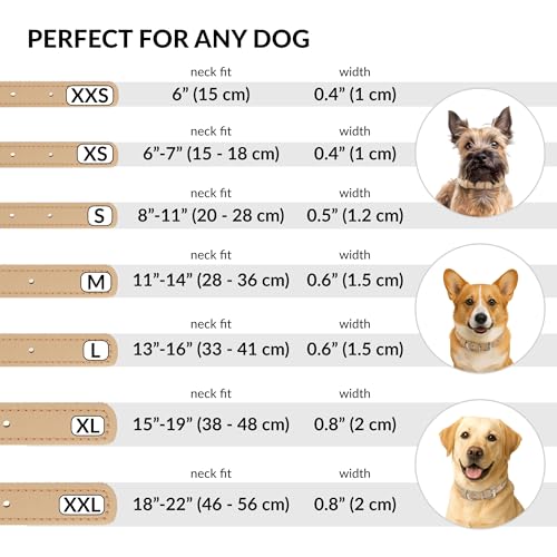 CollarDirect Rolled Leather Dog Collar, Soft Padded Round Puppy Collar, Handmade Genuine Leather Collar Dog Small Large Cat Collars 13 Colors (18-22 Inch, Beige Smooth) - Image 4