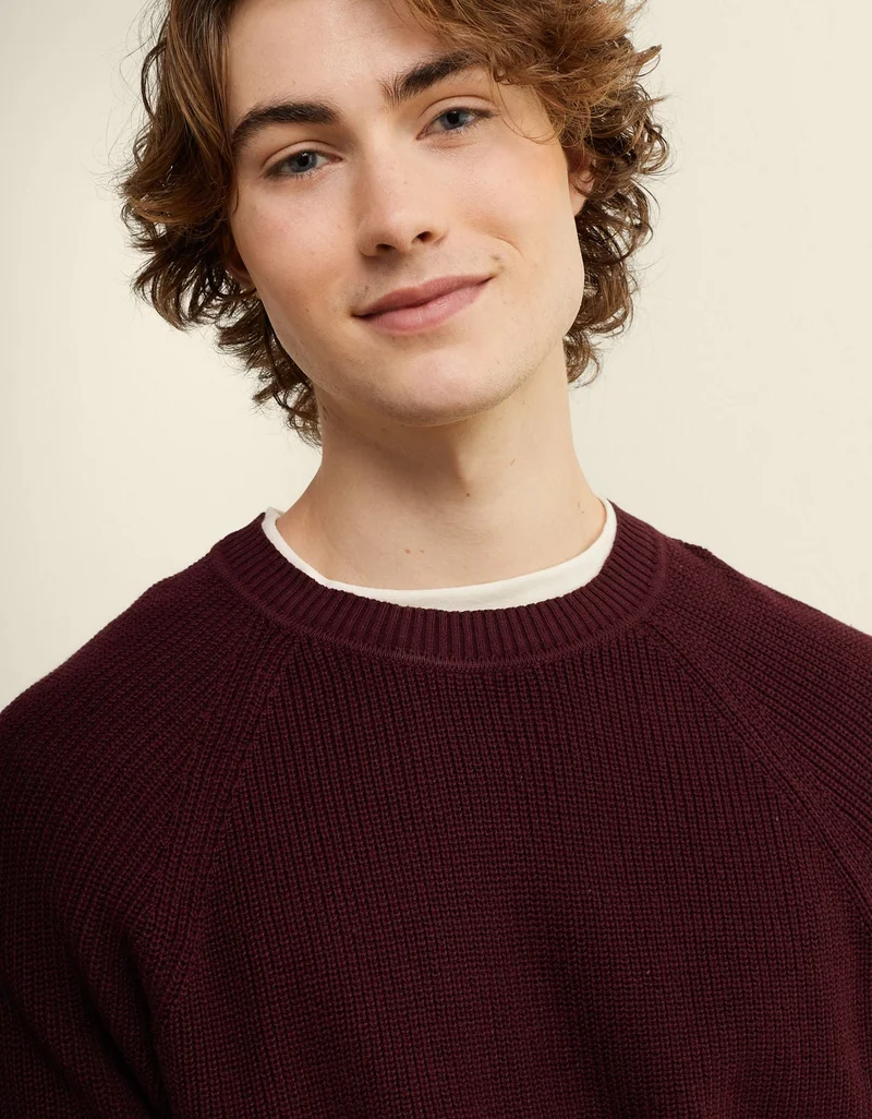 American Eagle  AE Shaker Stitch Sweater for Men | Best Price UAE