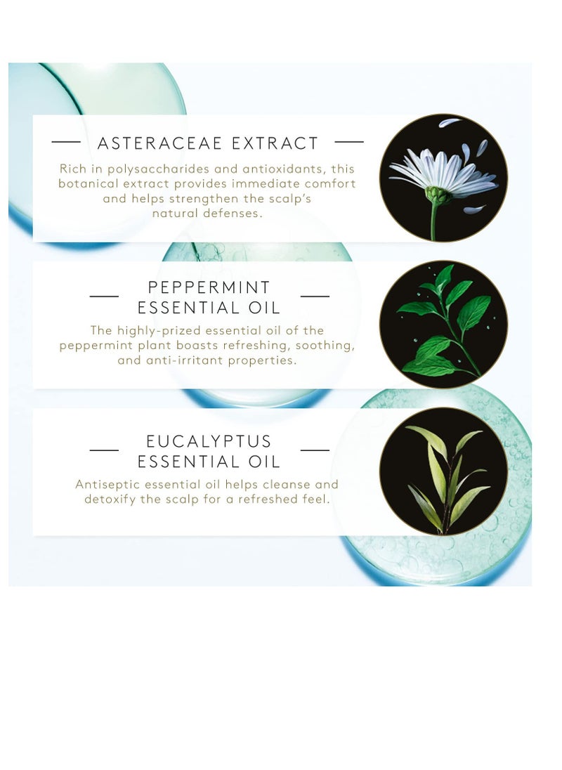 Rene Furterer Rene Furterer ASTERA FRESH Soothing Freshness Shampoo - Relieve Sensitive Scalps - Mint & Eucalyptus - Paraben & Silicone-Free  - Image 4