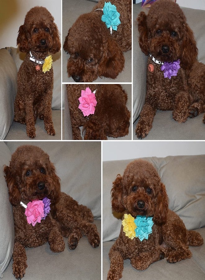 Viewind Dog Collar Flowers Attachement Cat Bow Tie Flora Accessories Set-Girl or Boy Pet Grooming OD 8cm 4pcs - Image 4