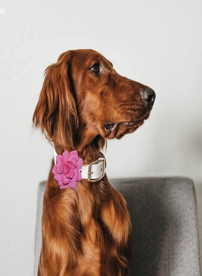 Viewind Dog Collar Flowers Attachement Cat Bow Tie Flora Accessories Set-Girl or Boy Pet Grooming OD 8cm 4pcs - Image 2