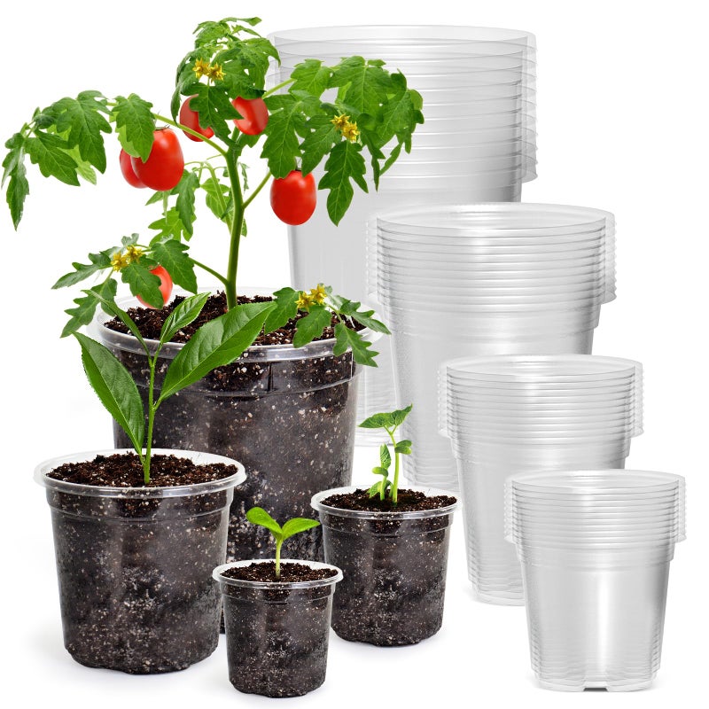 Bluepro 36 Packs 7/5/4/3.5 Inch Reinforced Clear Nursery Pots with Drainage Hole, Transparent Variety Pack Plastic Plant Pot Seedling Planter for Vegetable Propagation, Root Cutting, Seed Starting - Image 1