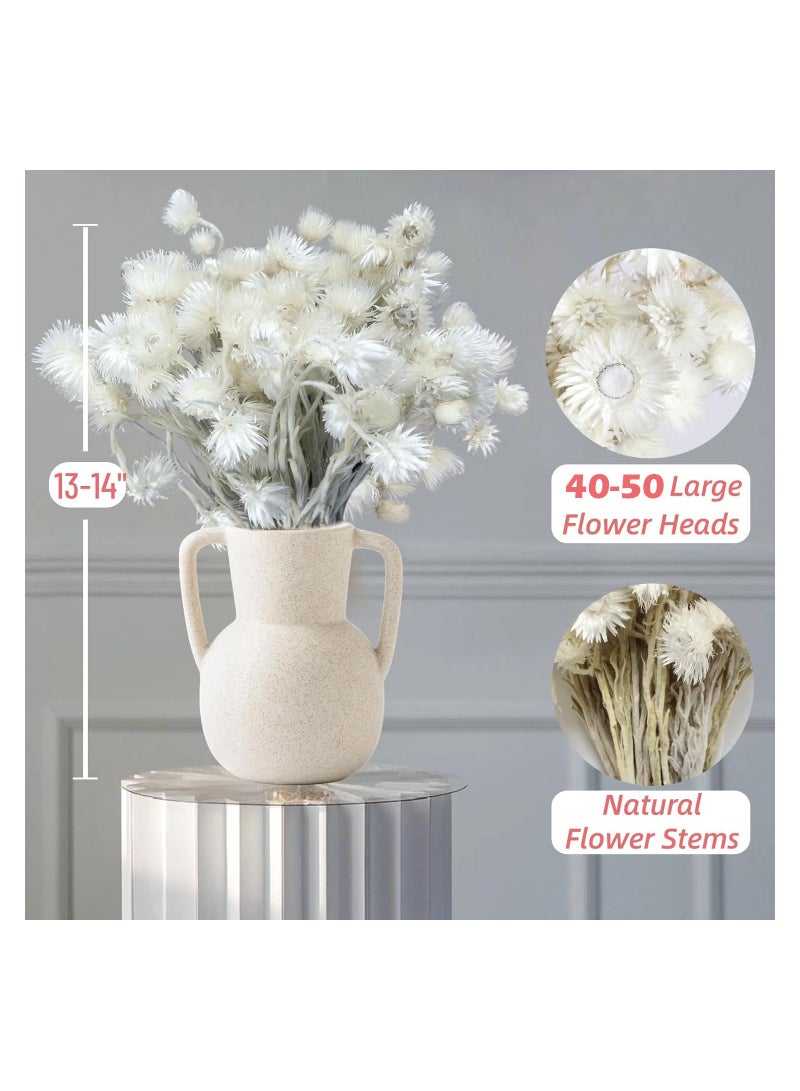 Large Heads Dried White Daisy Flowers -Real Dried Silver Daisy Chamomile Flower Bundle for Vase Home Wedding Boho Office Decor, Dried Daisies, Home Furnishing, DIY Arrangement, 1 Bunch/40-50 Heads - Image 5