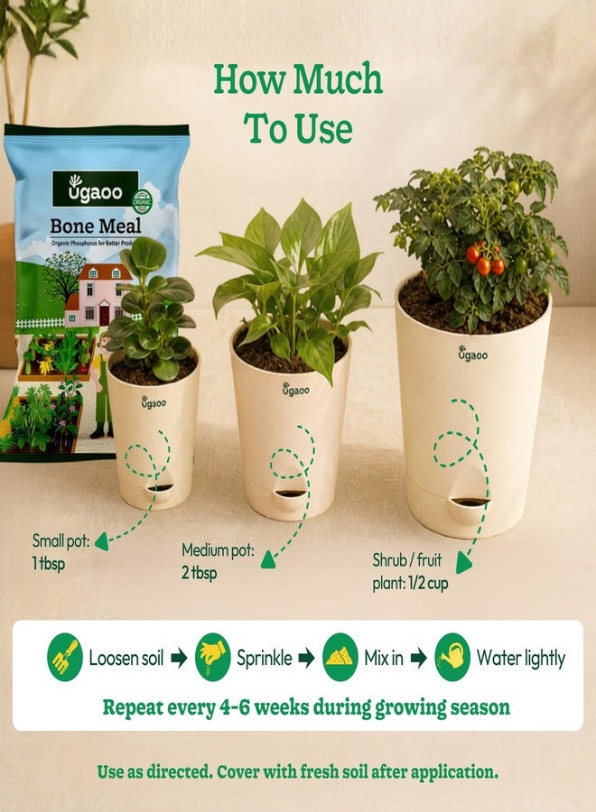 Ugaoo Organic Bone Meal Powder Fertilizer for Plants - 1 Kg - Image 3