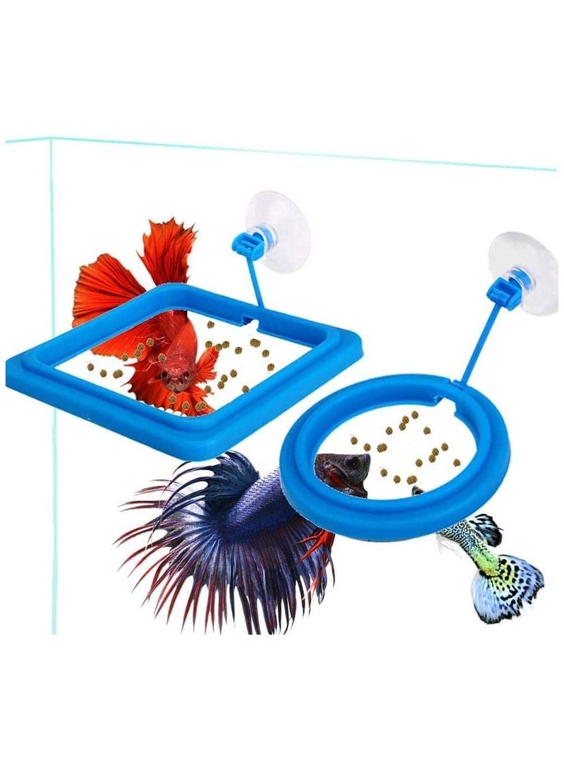Plastic Square and Circle Aquarium Fish Feeder- Set of 2 (Blue) - Image 1