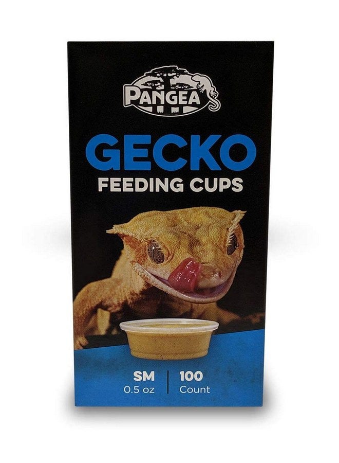 Pangea Pangea Small Gecko Food & Water Cups 100 ct  - Image 2