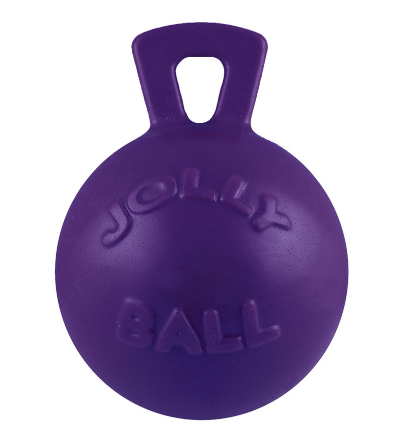 Jolly Pets Tug-n-Toss Heavy Duty Dog Toy Ball with Handle, 10 Inches/X-Large, Purple